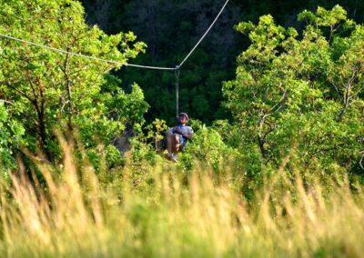 a man ziplining over the tree tops
